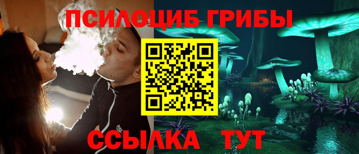 Псилоцибиновые грибы Cubensis  Вход с VPN  где продают   Кунгур  Псилоцибиновые грибы ЛСД 