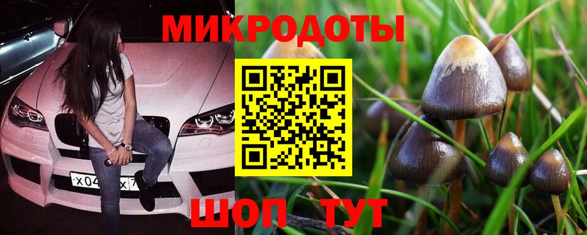 Галлюциногенные грибы Cubensis Кунгур